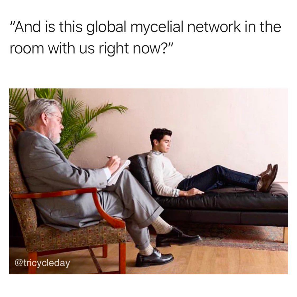 This meme is a humorous take on the current state of the internet. It features a photo of a therapist's office, with the therapist and patient sitting on a couch, but with a twist: the patient is not sitting on the couch, but is instead lying on a couch-like bed that is actually a giant mushroom. The text above the image reads: "And is this the global mycelial network in the room with us right now?" The joke is that the therapist is asking a question that is both literal and metaphorical, referencing the idea that the internet is a global network of interconnected computers that can be thought of as a "mushroom" that is spreading and growing in the "room" of the internet.